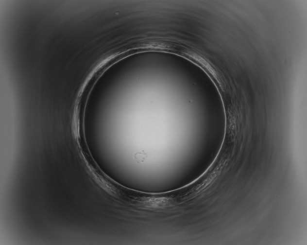 X0000097961131200803241208