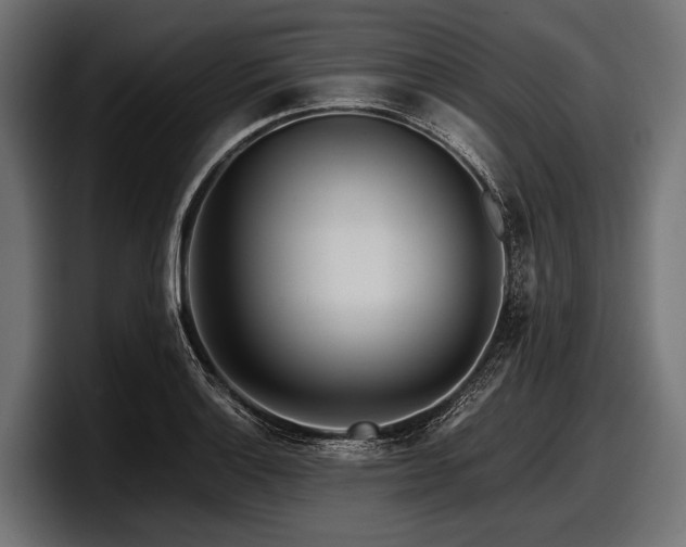 X0000097961132200803241208
