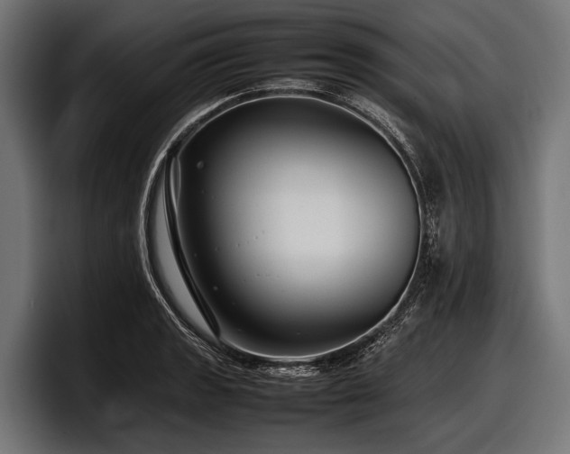 X0000097961133200803241208