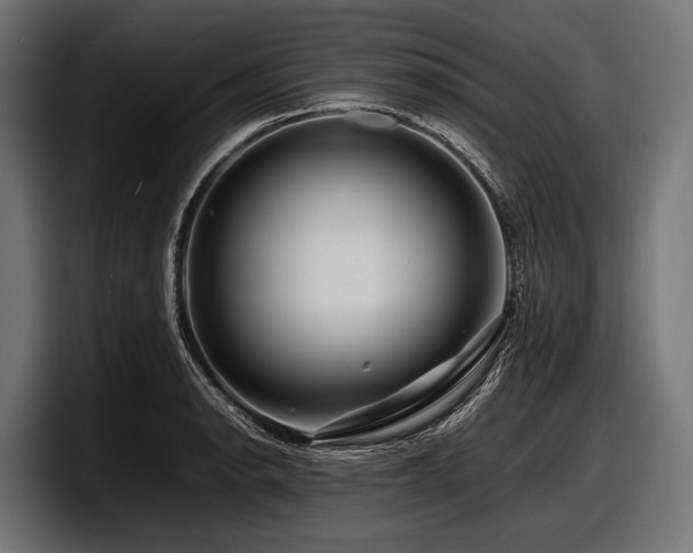 X0000097961134200803241208