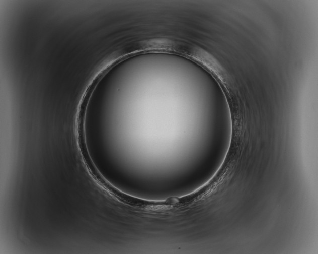 X0000097961135200803241208