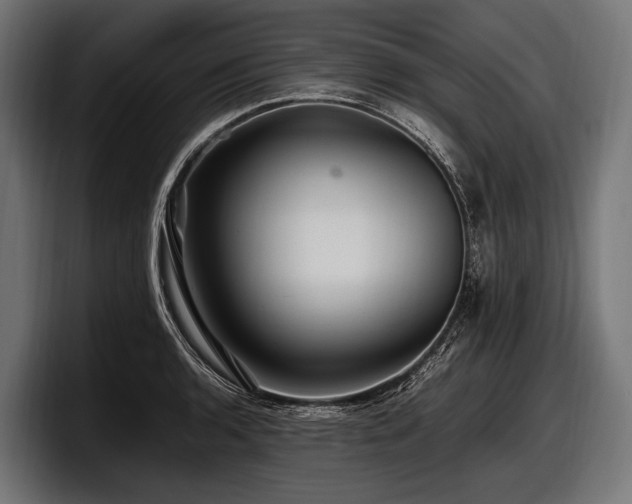 X0000097961136200803241208