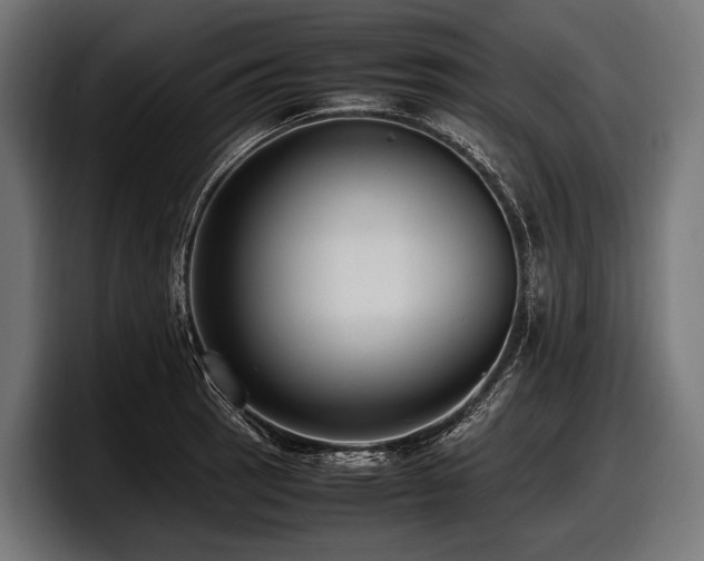 X0000097961137200803241208