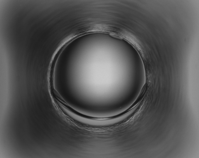 X0000097961138200803241208