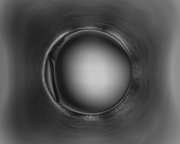 X0000097961139200803241209
