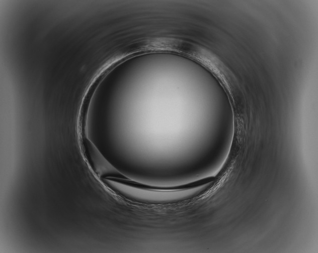 X0000097961141200803241209