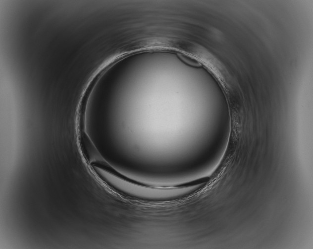 X0000097961142200803241209
