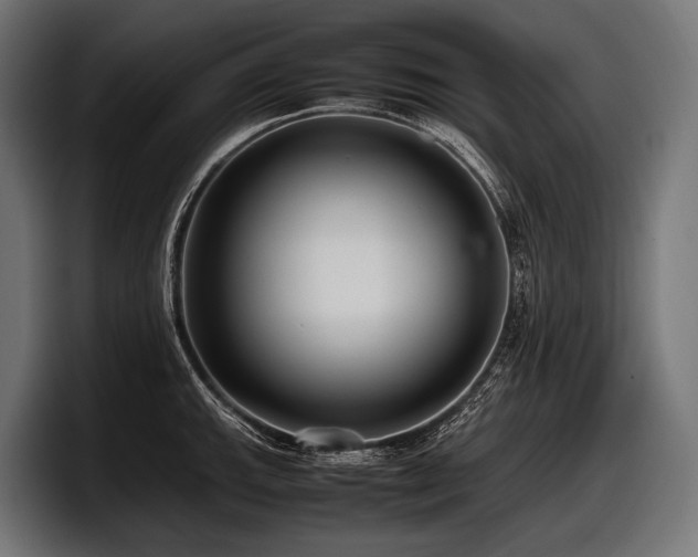 X0000097961143200803241209