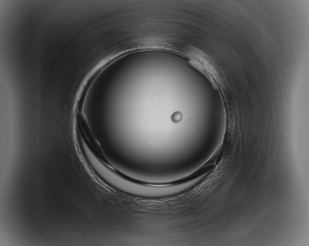 X0000097961144200803241209