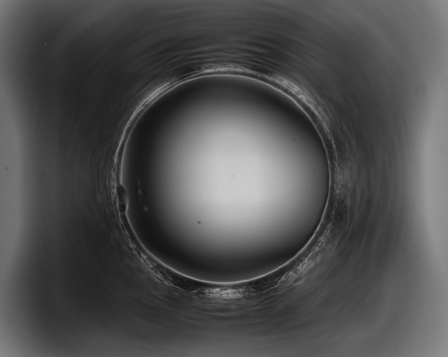 X0000097961145200803241209