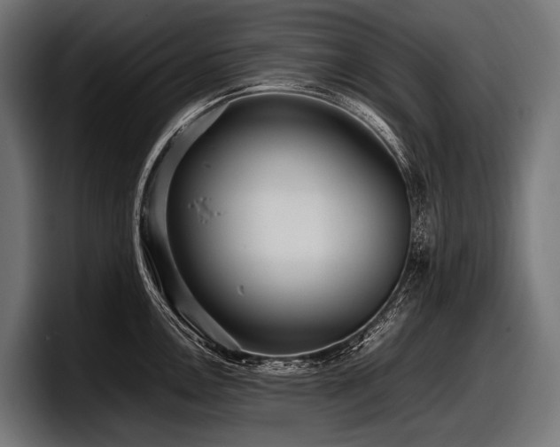 X0000097961146200803241209