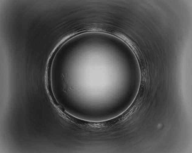 X0000097961147200803241209