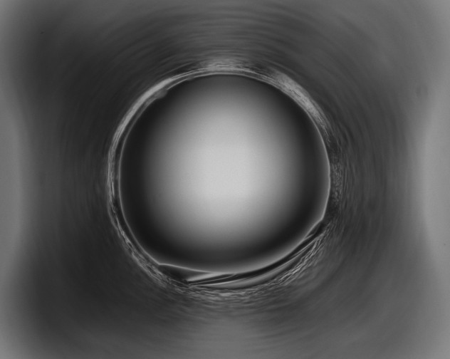 X0000097961148200803241209