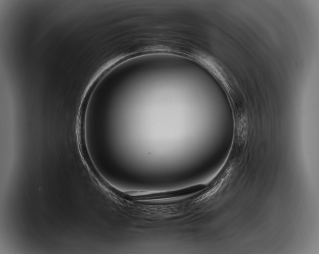 X0000097961149200803241209