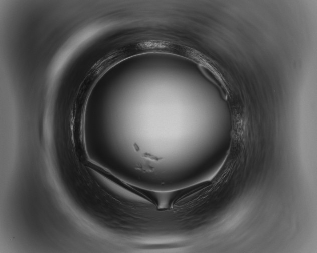 X0000097961151200803241209