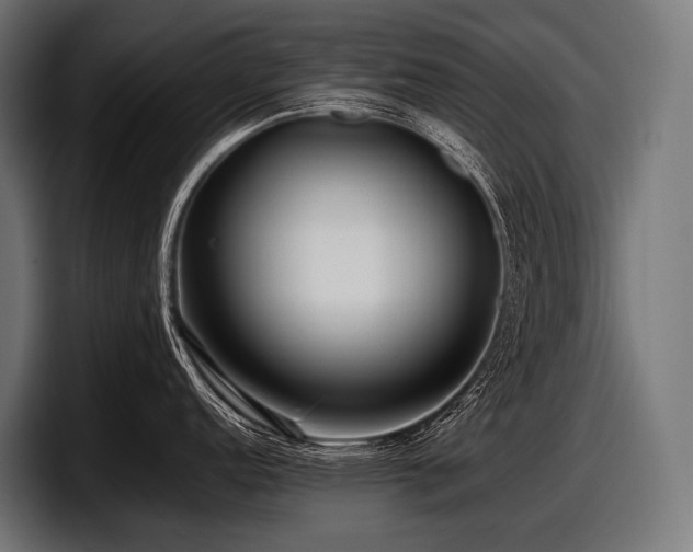 X0000097961152200803241209