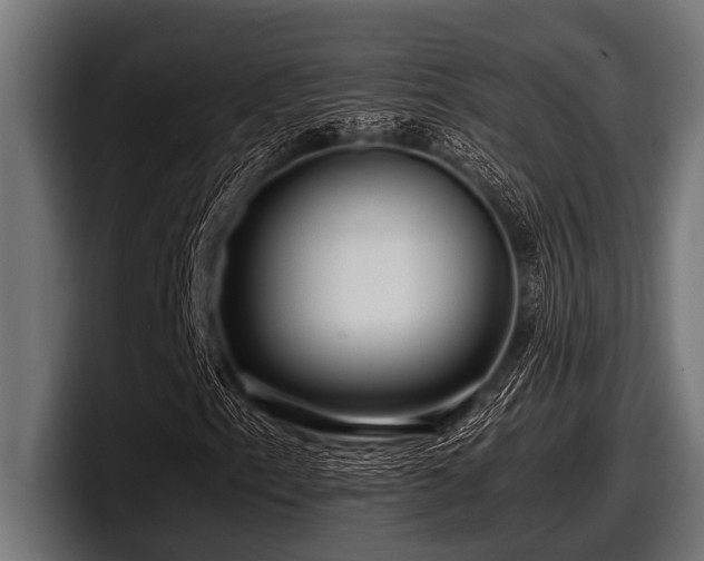 X0000097961153200803241208