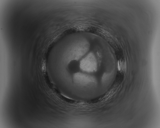 X0000097961155200803241208