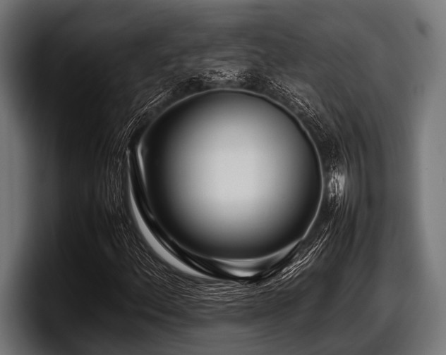 X0000097961156200803241208