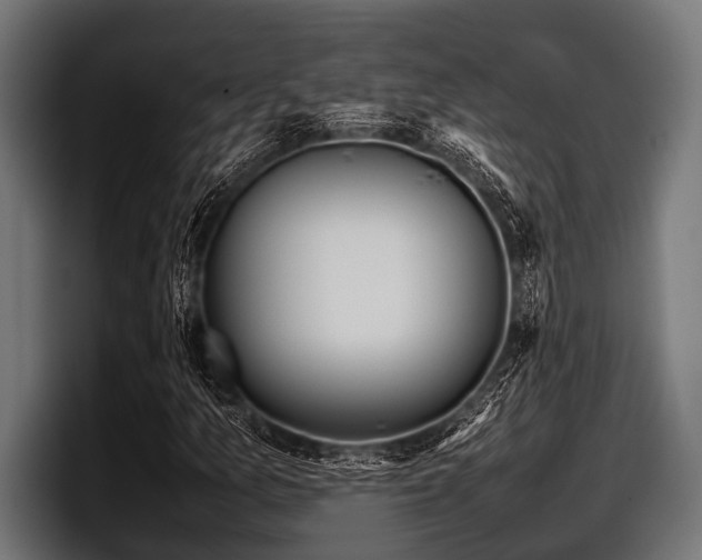 X0000097961157200803241208