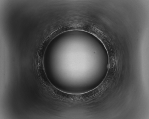 X0000097961158200803241208