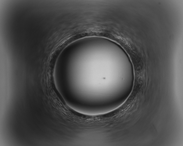 X0000097961159200803241208