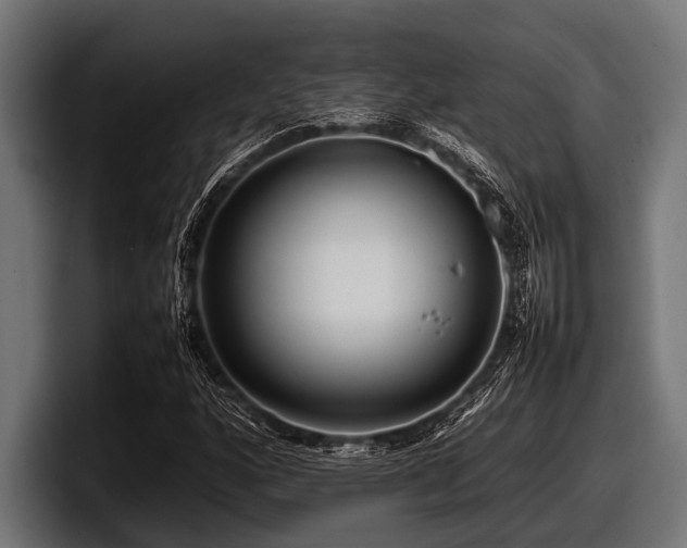 X0000097961160200803241208