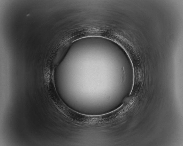 X0000097961161200803241208