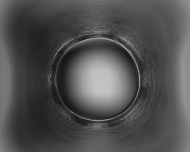 X0000097961163200803241208