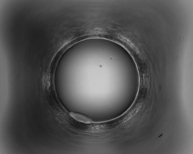 X0000097961165200803241208
