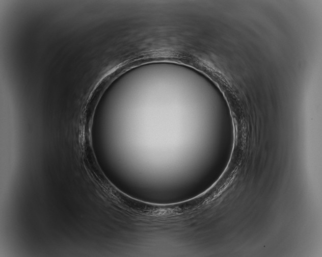 X0000097961166200803241208