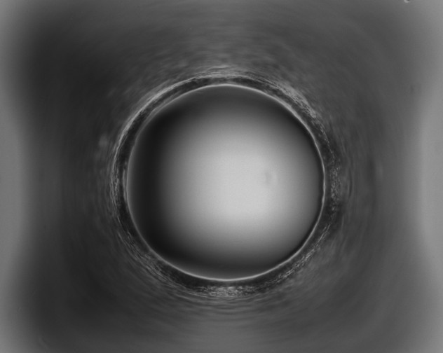 X0000097961167200803241208
