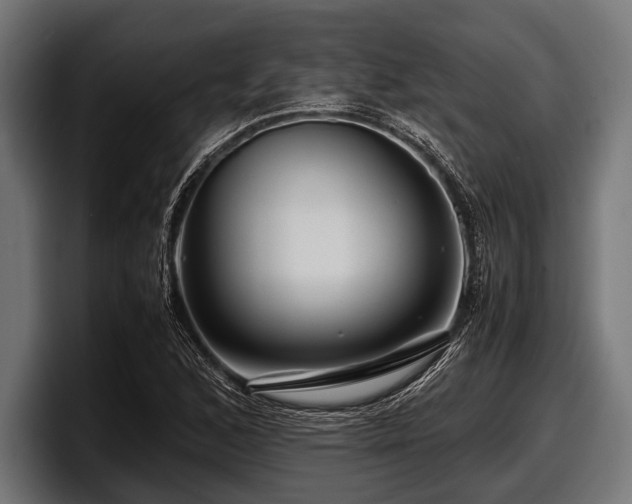 X0000097961168200803241208
