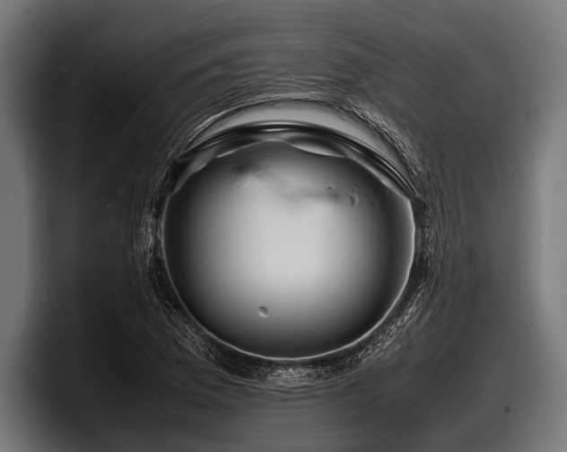X0000097961169200803241208