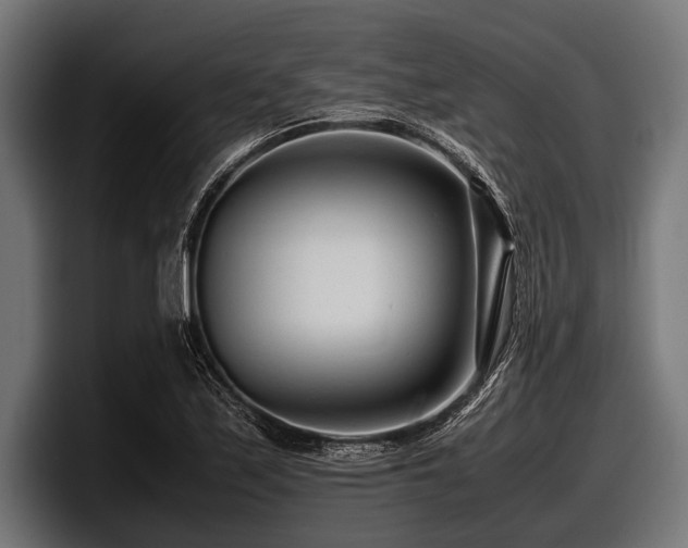 X0000097961171200803241208