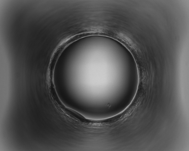 X0000097961172200803241208
