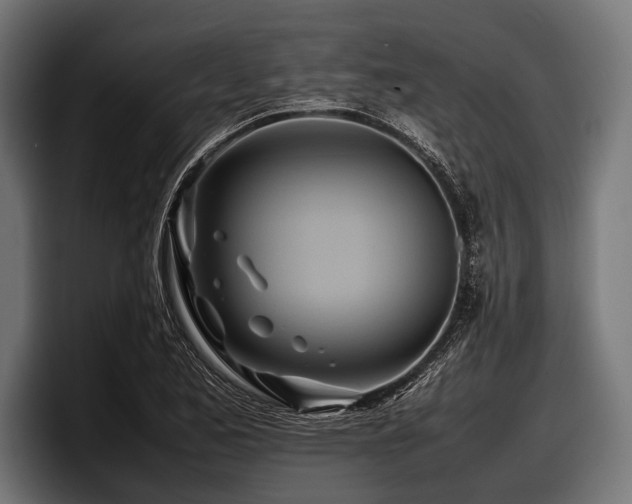 X0000097961173200803241208