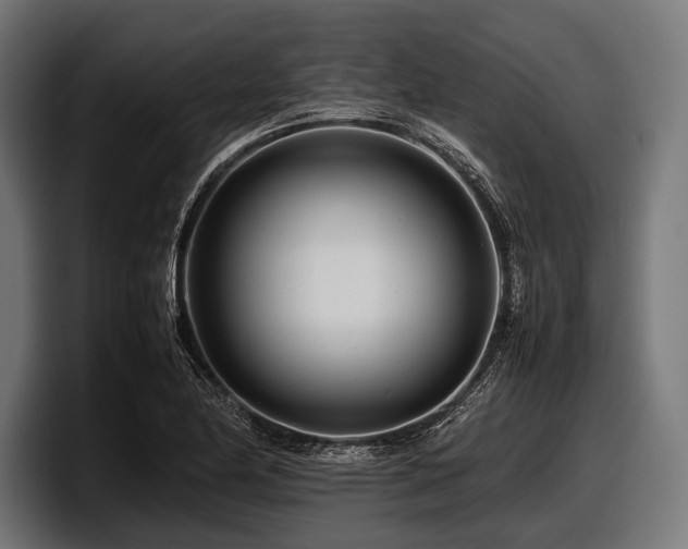 X0000097961174200803241208