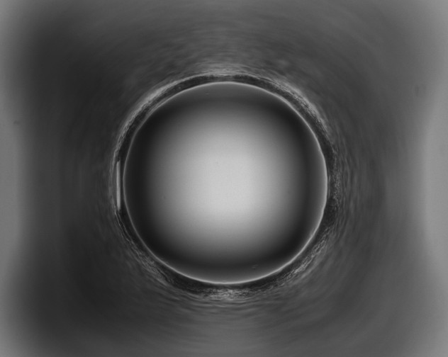 X0000097961175200803241208