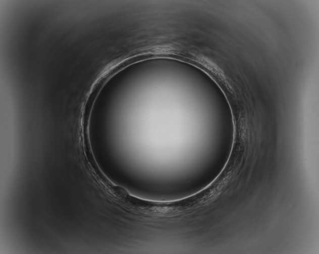 X0000097961176200803241208