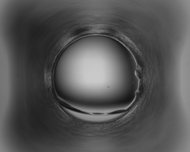 X0000097961177200803241208