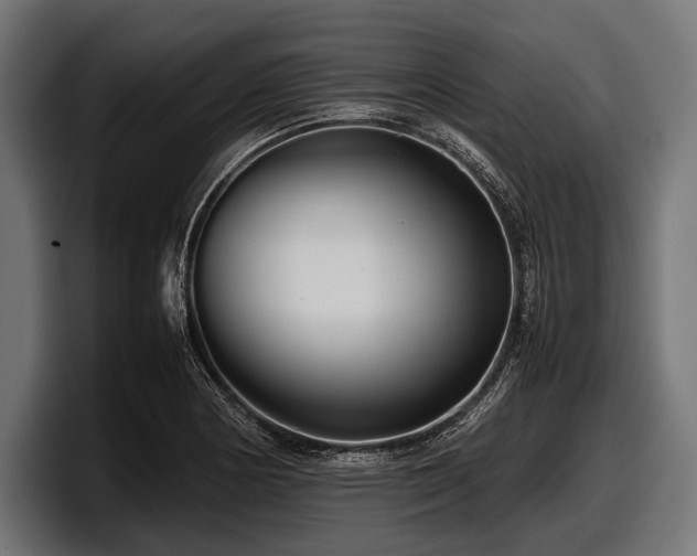 X0000097961178200803241208