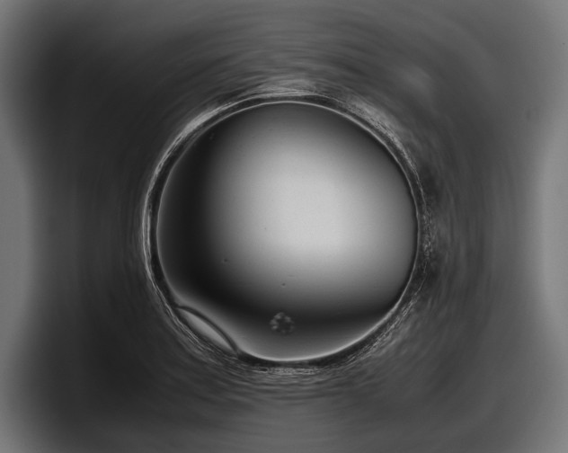 X0000097961179200803241208