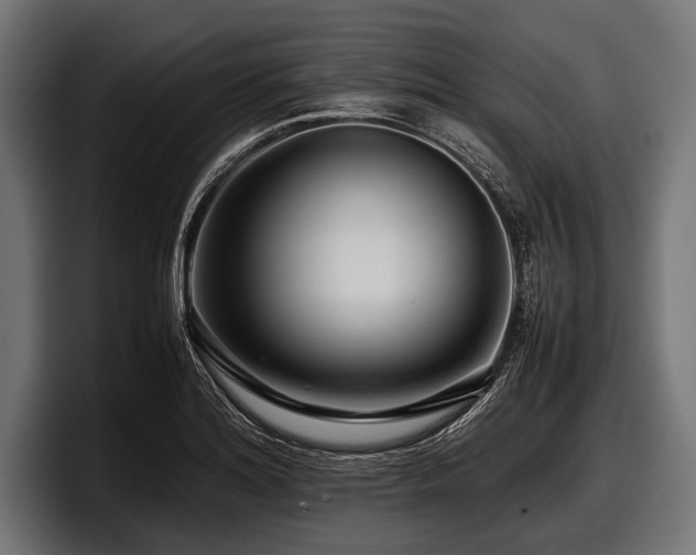 X0000097961180200803241208