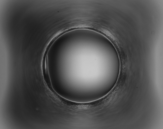 X0000097961181200803241208