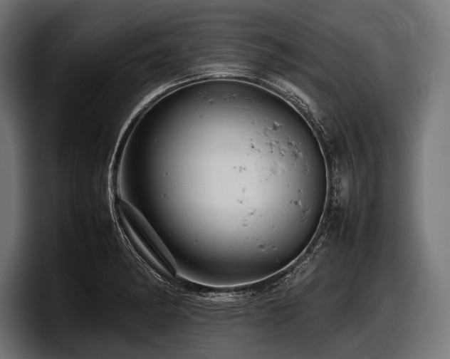 X0000097961182200803241208