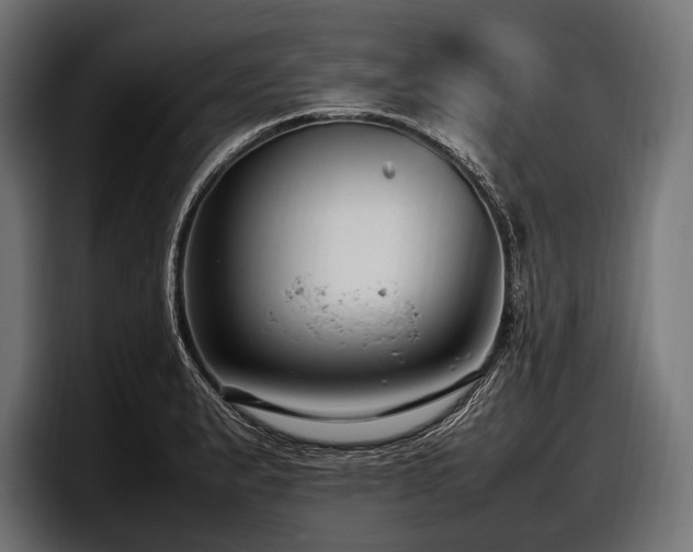 X0000097961183200803241208