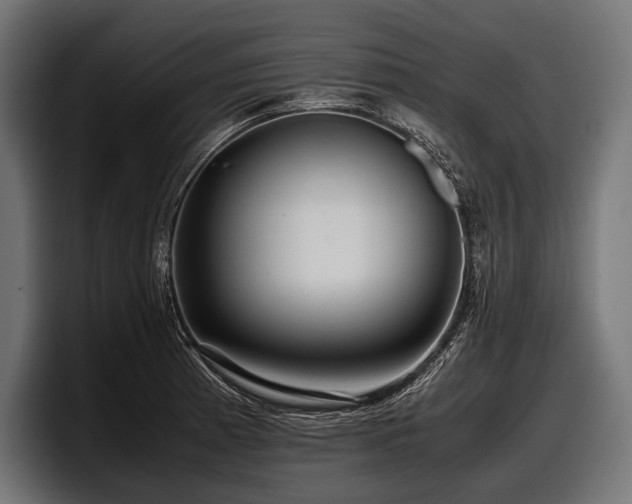 X0000097961185200803241208