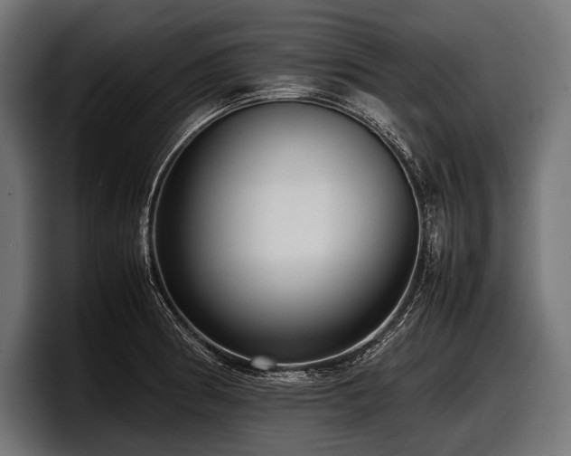 X0000097961186200803241208