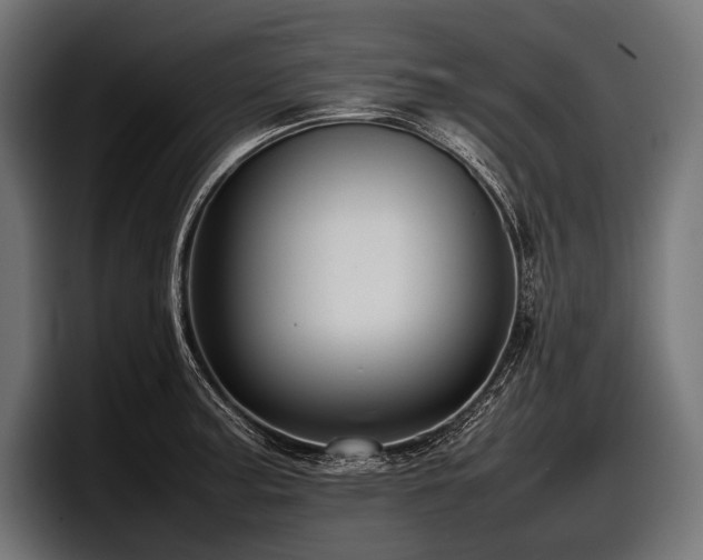 X0000097961187200803241208
